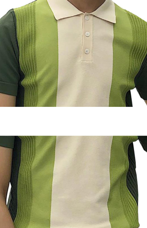 GREEN - LAPEL SHORT SLEEVE POLOSizing: True to size
Material composition: 100%Viscose
Clothing type: H
Collar: Lapel collar
Material: Viscose fiber
Pattern: Self design
Fabric elasticity: Slight eVallara